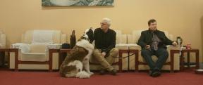The Saint Bernard Syndicate